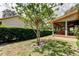 Well-maintained backyard with lush greenery, a manicured hedge, and a cozy screened-in porch at 3310 Tanglewood Trl, Palm Harbor, FL 34685