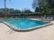 Enjoy this community pool with lounge chairs and a large deck for relaxing in the sun at 3310 Tanglewood Trl, Palm Harbor, FL 34685