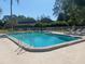 Enjoy this community pool with lounge chairs and a large deck for relaxing in the sun at 3310 Tanglewood Trl, Palm Harbor, FL 34685