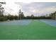 Community tennis courts, featuring well-maintained surface, surrounding fencing, and natural backdrop at 4810 Diamonds Palm Loop, Wesley Chapel, FL 33543