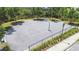 Community basketball court with pristine playing surface, net, fencing, and lighting at 11862 Frost Aster Dr, Riverview, FL 33579