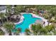 Overhead view of a luxurious pool area with cabanas and lounge chairs amid lush greenery at 11862 Frost Aster Dr, Riverview, FL 33579