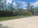 Expansive backyard featuring lush greenery and mature trees, ideal for outdoor activities and serene enjoyment at 14115 Harborwood Dr, Largo, FL 33774