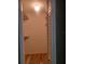 Bright walk-in closet with adjustable shelving and hardwood-style flooring providing ample storage space at 14115 Harborwood Dr, Largo, FL 33774