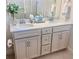 Bathroom with double sinks, vanity, and modern fixtures offering both style and functionality at 6293 Bradford Woods Dr, Zephyrhills, FL 33542