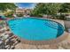Sparkling community pool with steps for easy access and surrounded by lush landscaping and comfortable seating at 805 100Th N Ave, St Petersburg, FL 33702