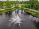 Scenic pond with a fountain and lush landscaping, enhancing the community's natural beauty at 10130 Deercliff Dr, Tampa, FL 33647