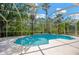Enclosed pool area featuring a sun-drenched pool and lots of surrounding trees and shade at 10130 Deercliff Dr, Tampa, FL 33647