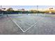 Well-maintained tennis court with new surfacing and green fences offering a great space for active recreation at 10130 Deercliff Dr, Tampa, FL 33647