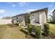 View of the backyard, patio with sliding door, and landscaping at 10229 Bright Crystal Ave, Riverview, FL 33578