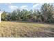 Backyard with grassy area and trees in the background at 13451 Kaplan Ter, Port Charlotte, FL 33981