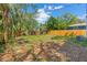 A spacious backyard featuring a wooden fence and mature trees, ideal for outdoor activities and entertaining at 1843 38Th S St, St Petersburg, FL 33711