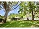 Large backyard with mature trees, a fenced pool, and a screened-in porch at 2004 Chickwood Ct, Tampa, FL 33618