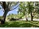 Spacious backyard with a screened-in patio, mature trees, and a privacy fence at 2004 Chickwood Ct, Tampa, FL 33618