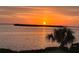 Breathtaking sunset over the water with tropical palms adding a sense of paradise at 2111 Alexis Ct, Tarpon Springs, FL 34689