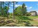 Lush, green backyard featuring mature trees and a partial view of the home's screened-in lanai at 2671 Lakebreeze S Ln, Clearwater, FL 33759