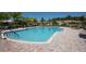 Resort-style pool area with lounge chairs and lush landscaping, perfect for relaxation and enjoyment at 336 Silver Falls Dr, Apollo Beach, FL 33572