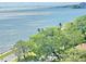Breathtaking waterfront view with trees and blue sky above at 4141 Bayshore Blvd # 1103, Tampa, FL 33611