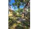 Spacious backyard with mature trees and a wooden fence at 1125 Engman St, Clearwater, FL 33755