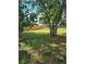 Backyard featuring a large shade tree and a wood fence at 1125 Engman St, Clearwater, FL 33755
