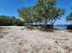 Enjoy the tranquility of the shell covered beach area, perfect for relaxation and enjoying the waterfront lifestyle at 1500 Sunset Rd # C7, Tarpon Springs, FL 34689