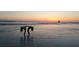 Two playing on the shoreline at sunset, reflecting a serene and picturesque beach scene at 1500 Sunset Rd # C7, Tarpon Springs, FL 34689