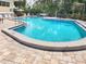 A tranquil community pool, perfect for relaxation, offers an inviting and scenic retreat at 1500 Sunset Rd # C7, Tarpon Springs, FL 34689