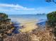Beautiful waterfront view with sandy beach and calm, inviting water at 1500 Sunset Rd # C7, Tarpon Springs, FL 34689