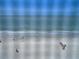 Beautiful beach scene with people enjoying the sun and surf at 15400 Gulf Blvd # 502, Madeira Beach, FL 33708