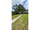 Manicured community walkway surrounded by lush greenery and mature trees, providing a serene walking experience at 4550 Overlook Ne Dr # 156, St Petersburg, FL 33703