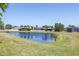 Scenic view of a community pond surrounded by well-manicured lawns and palm trees at 511 York Dale Dr, Ruskin, FL 33570