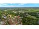 Expansive aerial view of a residential neighborhood with lush green trees and well-maintained homes on spacious lots at 7029 Dowling Mill Cir, Tampa, FL 33625