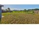 Expansive backyard view features a tranquil pond, lush greenery, and neighborhood homes at 10540 Carloway Hills Dr, Wimauma, FL 33598