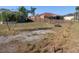 Large fenced backyard featuring grass, trees and small rock area. The perfect space for entertaining at 10540 Carloway Hills Dr, Wimauma, FL 33598