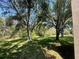 Backyard view featuring mature trees and a grassy area at 11185 Heathrow Ave, Spring Hill, FL 34609