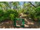 Backyard gate leading to a natural wooded area, perfect for privacy and exploration at 12408 Wexford Hills Rd, Riverview, FL 33569