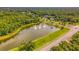 An aerial view of a pond with three fountains surrounded by lush green trees at 5212 Twin Creeks Dr, Valrico, FL 33596