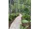 A natural wooden walking trail through a lush forest filled with ferns and trees at 5212 Twin Creeks Dr, Valrico, FL 33596