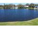 Scenic water view of a large pond surrounded by manicured lawns and lush trees at 5348 Saddlebrook Way # 2, Wesley Chapel, FL 33543