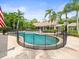 Beautiful backyard with a swimming pool, safety fence, and lush tropical landscaping at 876 Ranch Rd, Tarpon Springs, FL 34688