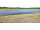 Scenic view of a large pond with a grassy bank, adding natural beauty to the property at 14413 Seattle Slew Ln, Ruskin, FL 33573