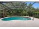 Inviting screened-in pool and spa area surrounded by lush landscaping, perfect for relaxation at 16522 Ivy Lake Dr, Odessa, FL 33556