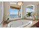 Large bathtub with views of the gulf and the palms at 1737 Brightwaters Ne Blvd, St Petersburg, FL 33704