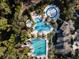 Aerial shot of the community pool, splashpad, palm trees, and lounge area at 3844 Silverlake Way, Wesley Chapel, FL 33544