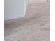 Close up of carpet flooring at 3844 Silverlake Way, Wesley Chapel, FL 33544