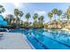 Community pool surrounded by palm trees, offering a refreshing outdoor experience at 3844 Silverlake Way, Wesley Chapel, FL 33544