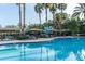 Community swimming pool featuring lounge chairs, umbrellas, tall palm trees, and a waterslide in the background at 3844 Silverlake Way, Wesley Chapel, FL 33544