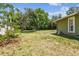 Large grassy backyard with mature trees and perimeter fence, a great space for entertaining and relaxing at 4161 Rolling Springs Dr, Tampa, FL 33624
