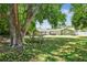 Scenic backyard featuring mature trees providing shade for a picnic table and flat grassy yard at 4161 Rolling Springs Dr, Tampa, FL 33624