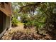 Lush backyard featuring mature trees and ample space for outdoor activities at 459 Bayview Ne Dr, St Petersburg, FL 33704